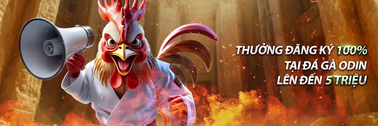 Hình ảnh banner blog dt88 game