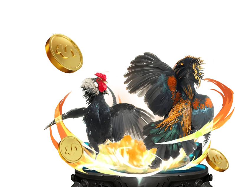 Quy tắc cá cược và trò chơi dt88 game